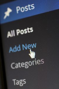 Add New option in WordPress - select with caution.