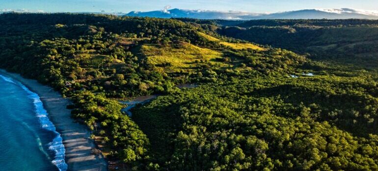 A Costa Rica rainforest viewed from above.